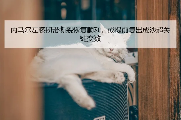 nei-ma-er-zuo-xi-ren-dai-si-lie-hui-fu-shun-li-huo-ti-qian-fu-chu-cheng-sha-chao-guan-jian-bian-shu-2-909.jpg